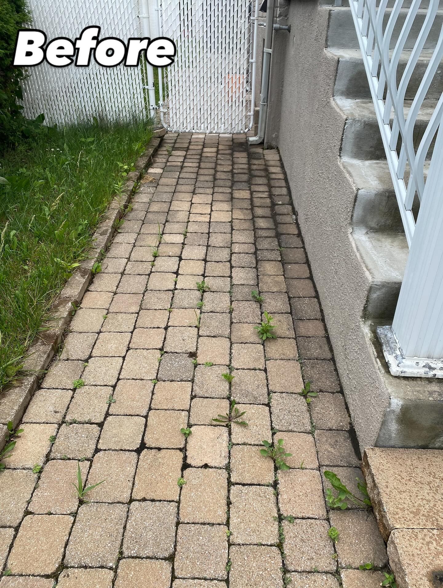 Before - Walkway pressure washing before and after
