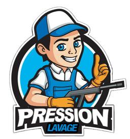 VistaLavage Logo