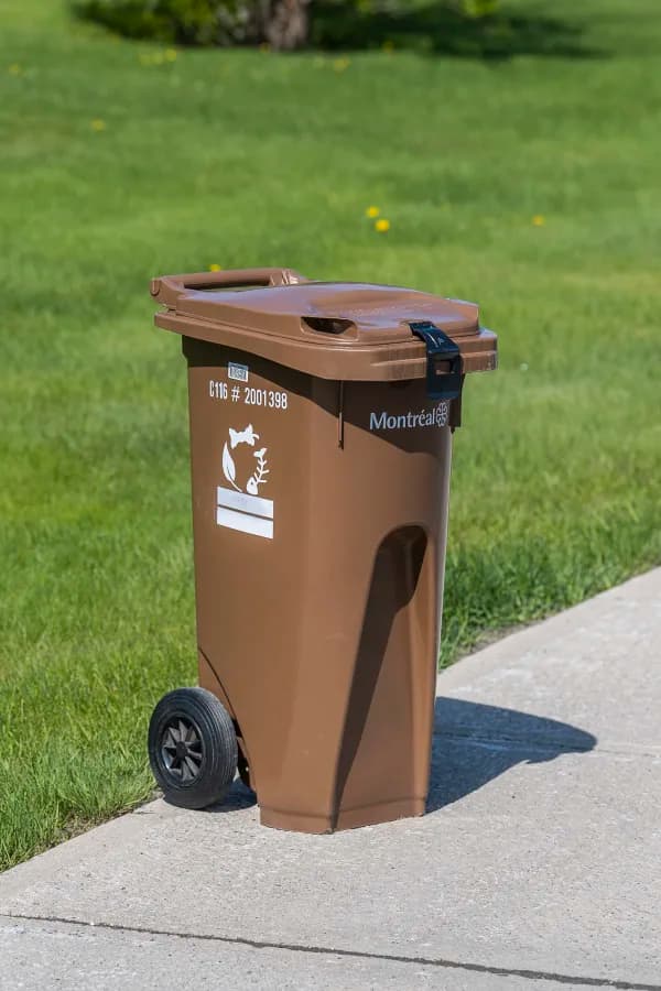 Bin Cleaning